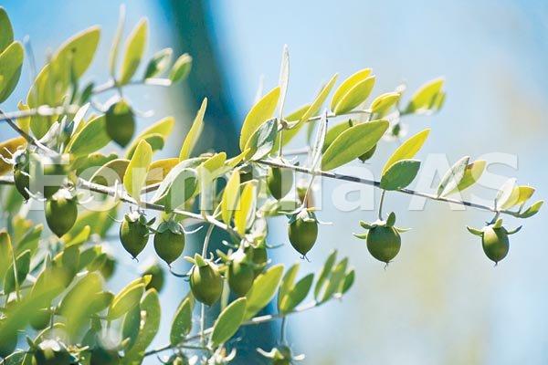 1101_1333973697-large