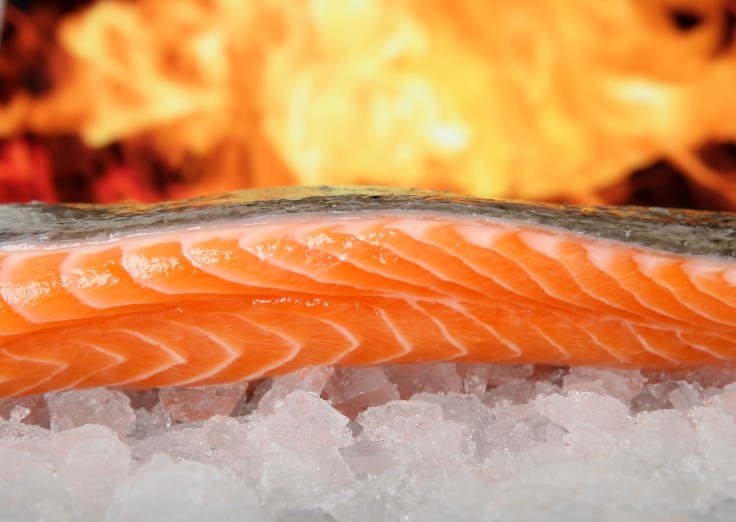 salmon-1238662_1920